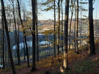 Appartamento Bestwig Ambiente 38