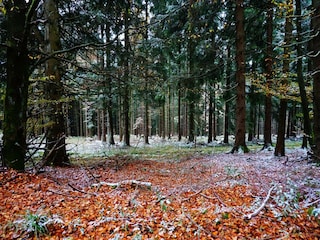 Holiday house Winterberg Environment 34