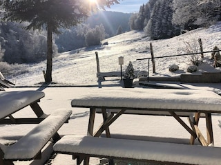 Ferienhaus Winterberg Außenaufnahme 10