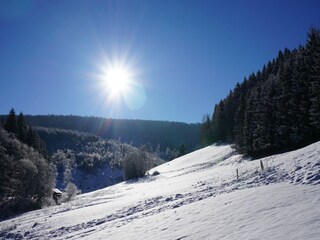 Casa de vacaciones Winterberg Entorno 34
