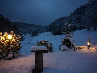 Maison de vacances Winterberg Environnement 36