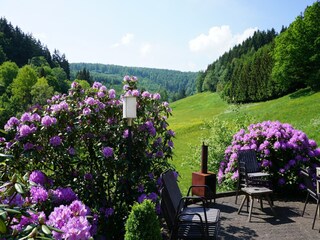 Casa de vacaciones Winterberg Grabación al aire libre 4