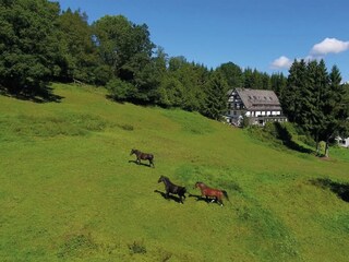 Maison de vacances Winterberg Environnement 38