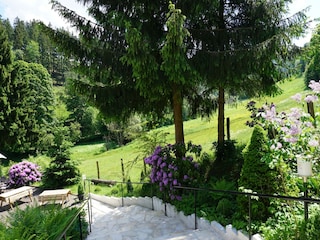 Holiday house Winterberg Environment 35