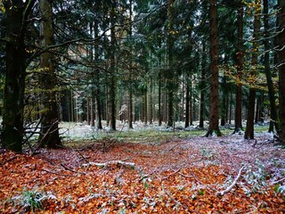 Maison de vacances Winterberg Environnement 37