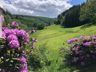 Casa per le vacanze Winterberg Registrazione all'aperto 8
