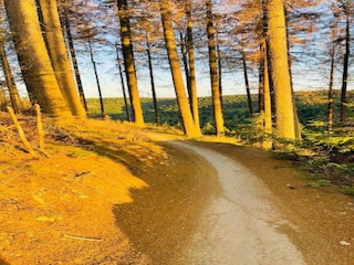 Vakantiehuis Winterberg Omgeving 27