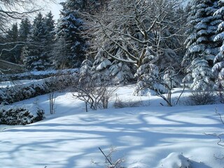 Maison de vacances Winterberg Enregistrement extérieur 6