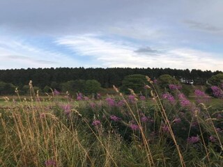 Vakantiehuis Winterberg Omgeving 32