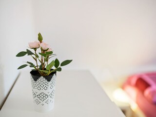 Ferienhaus Winterberg  40