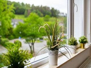 Ferienhaus Winterberg  38