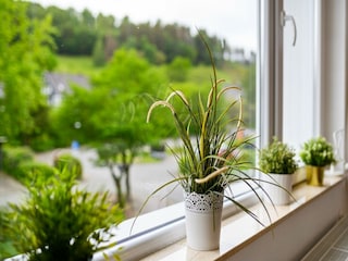 Holiday house Winterberg  37
