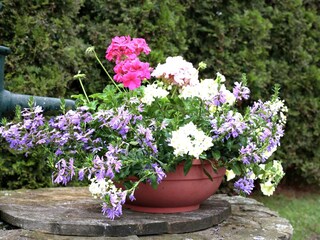 Appartement Hallenberg  41