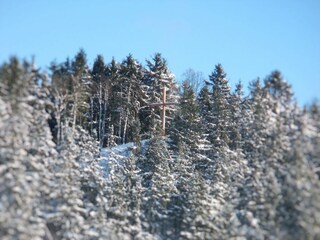 Appartamento Hallenberg Ambiente 24