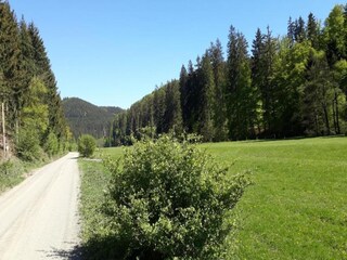 Apartamento Hallenberg Entorno 32