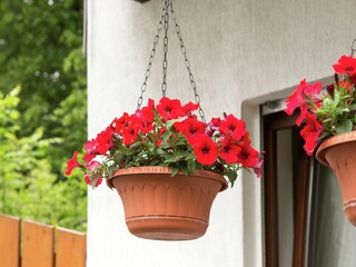 Casa per le vacanze Korbach  39