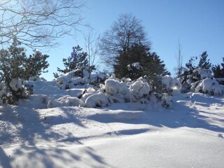 Maison de vacances Korbach Environnement 33