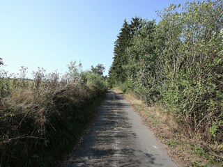 Appartamento Korbach Ambiente 28