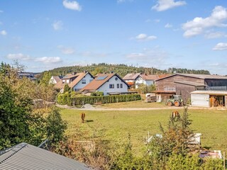 Vakantiehuis Medebach Omgeving 37
