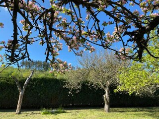 Ferienhaus Medebach Umgebung 31