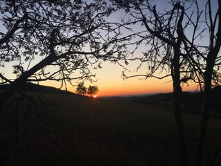 Maison de vacances Medebach Environnement 37