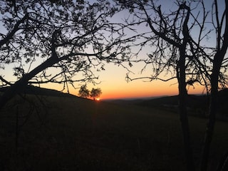 Vakantiehuis Medebach Omgeving 37