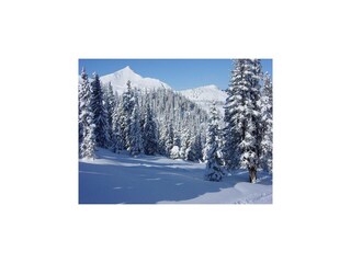 Villa Medebach Environment 25