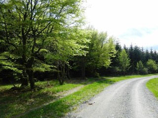 Villa Medebach Environment 29