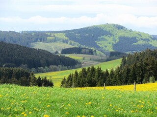 Villa Medebach Environment 30