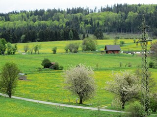 Villa Medebach Environnement 32