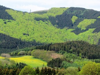Villa Medebach Environment 35