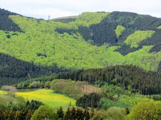 Villa Medebach Environnement 36