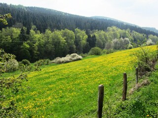 Villa Medebach Environnement 36