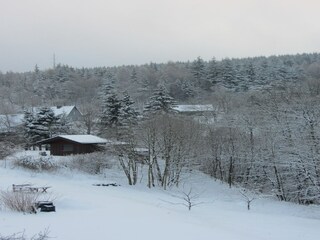 Villa Medebach Environnement 35