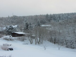 Villa Medebach Environment 32