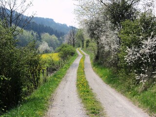 Villa Medebach Omgeving 33