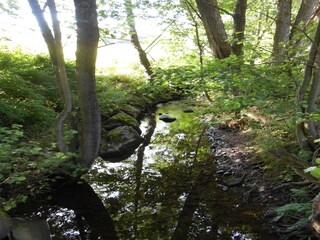 Apartment Hallenberg Umgebung 23