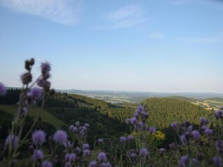 Appartamento Hallenberg Ambiente 21