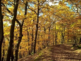 Apartamento Hallenberg Entorno 28