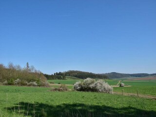 Apartamento Hallenberg  31