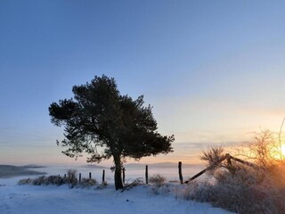 Appartamento Hallenberg  34