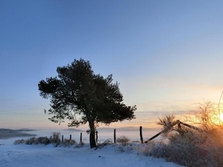 Appartement Hallenberg  32