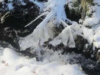 Appartement Hallenberg  34