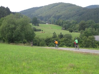 Vakantiehuis Hallenberg Omgeving 34