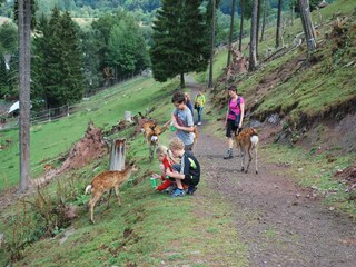 Vakantiehuis Hallenberg Omgeving 34