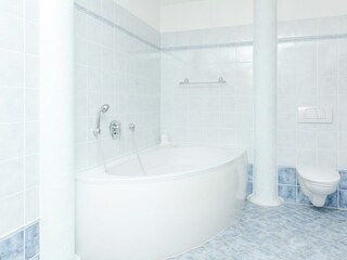 Villa Schotten Caratteristiche 27