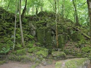 Villa Schotten Omgeving 31