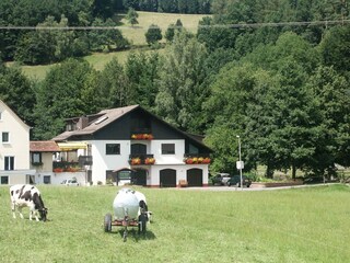 Appartement Airlenbach Buitenaudio-opname 7