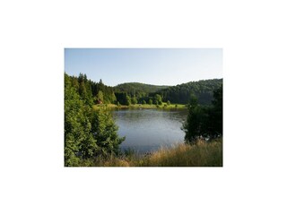 Apartment Airlenbach Umgebung 36