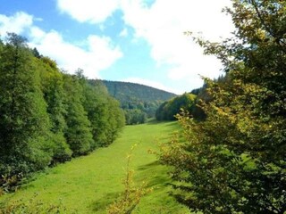 Appartement Airlenbach Environnement 35